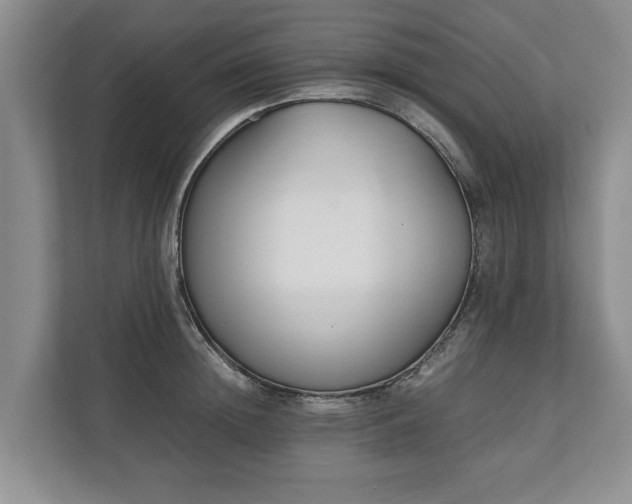 X0000110690852200906191506