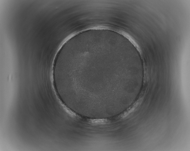 X0000110690853200906191506