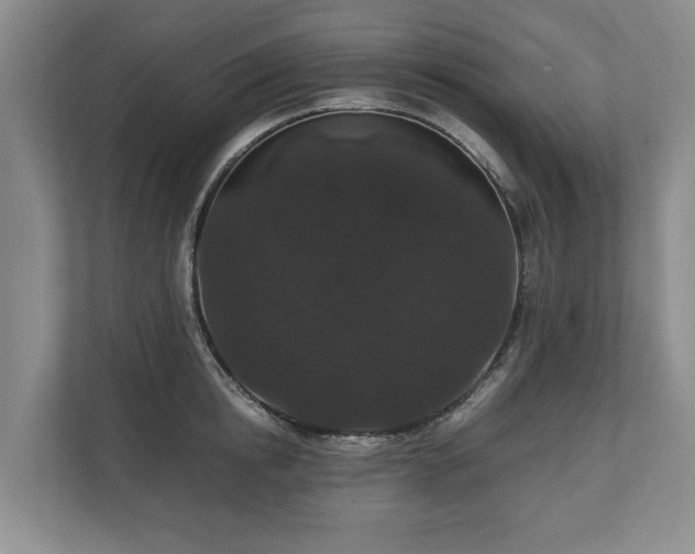 X0000110690854200906191506