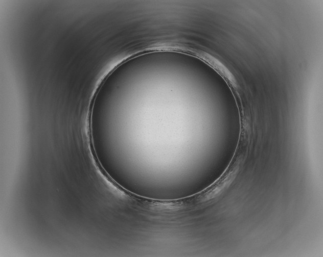 X0000110690855200906191506