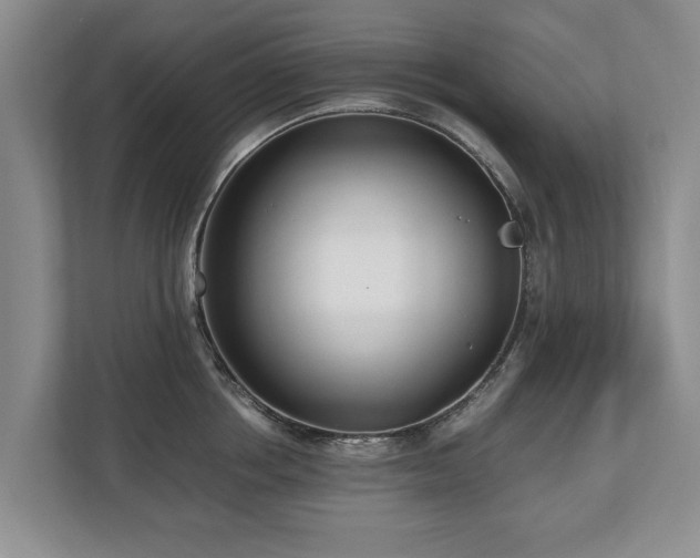 X0000110690858200906191506