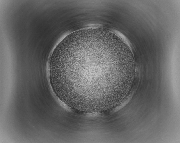 X0000110690859200906191506