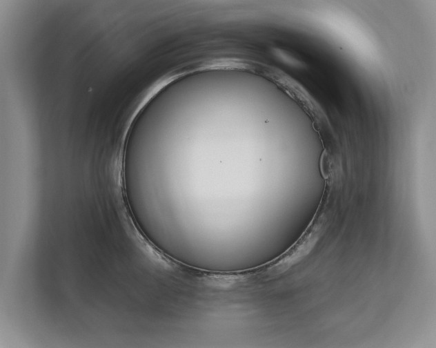 X0000110690860200906191506