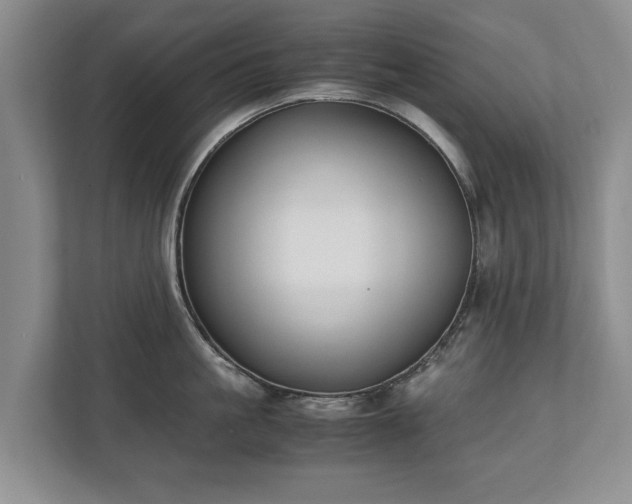 X0000110690861200906191506