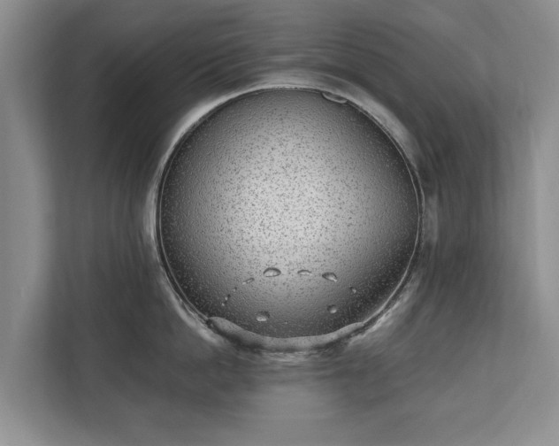 X0000110690862200906191506