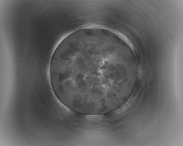 X0000110690863200906191506