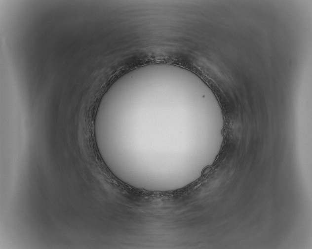 X0000110690865200906191505