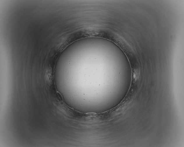 X0000110690867200906191505