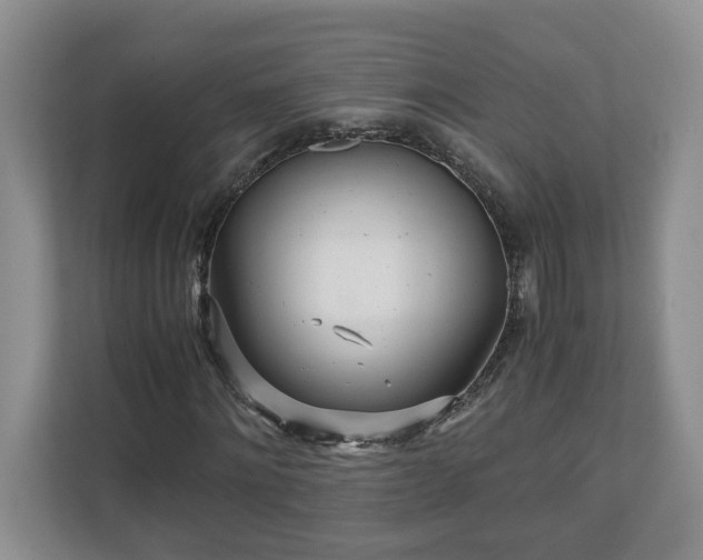 X0000110690868200906191505