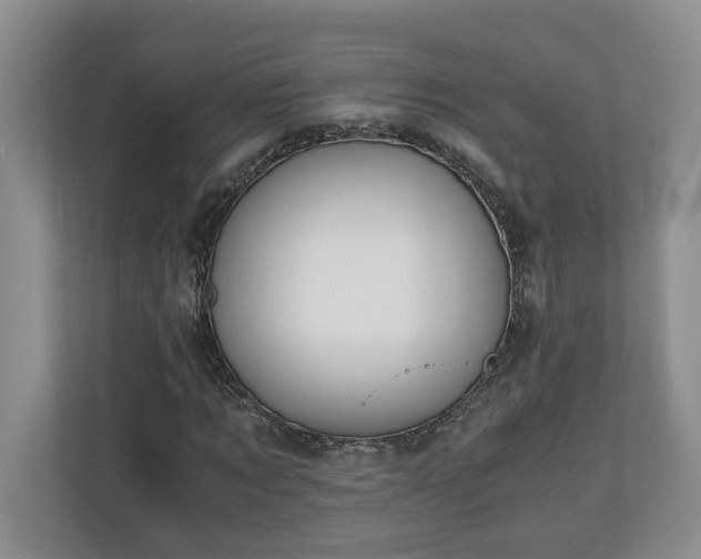 X0000110690869200906191505