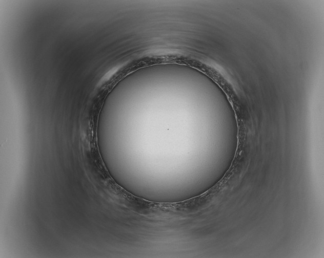 X0000110690871200906191505