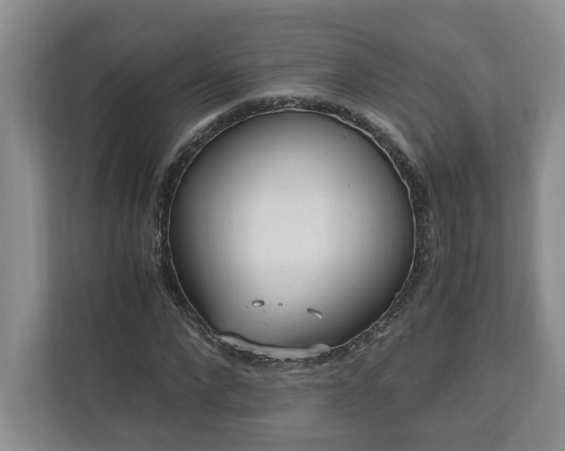 X0000110690872200906191505