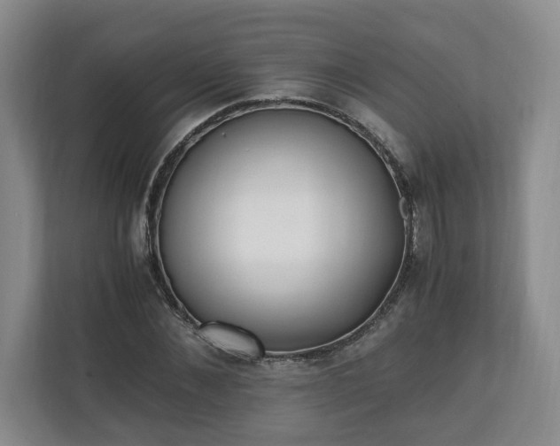 X0000110690876200906191505