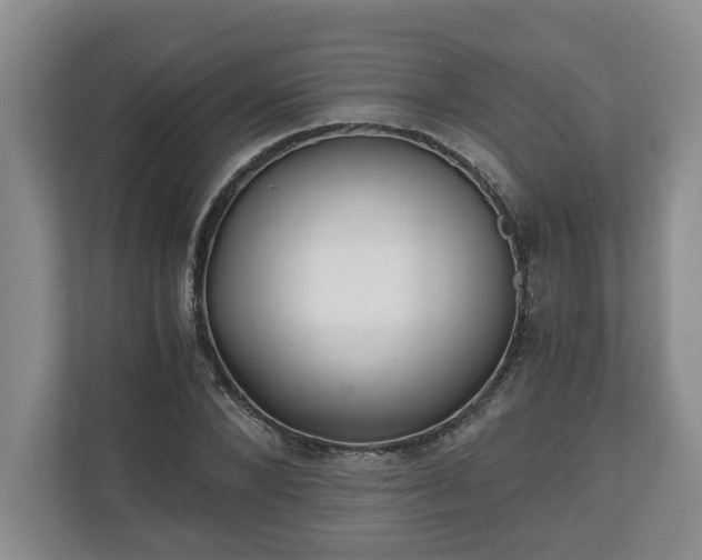 X0000110690880200906191505