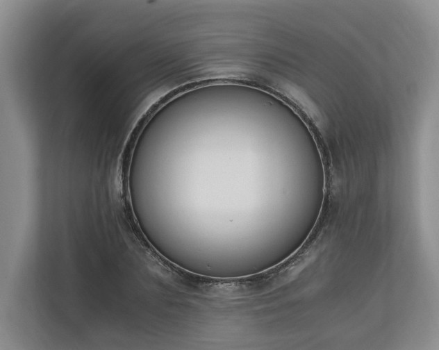 X0000110690883200906191505