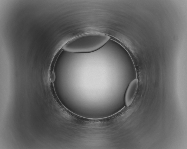 X0000110690885200906191505