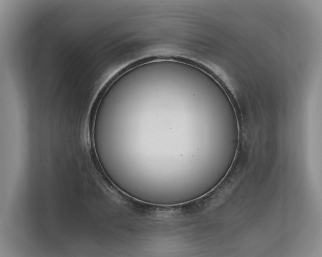 X0000110690887200906191505