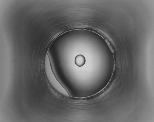 X0000110690889200906191505