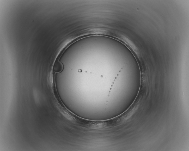 X0000110690891200906191505