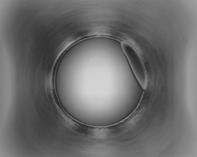 X0000110690893200906191505