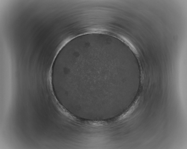 X0000110690899200906191505