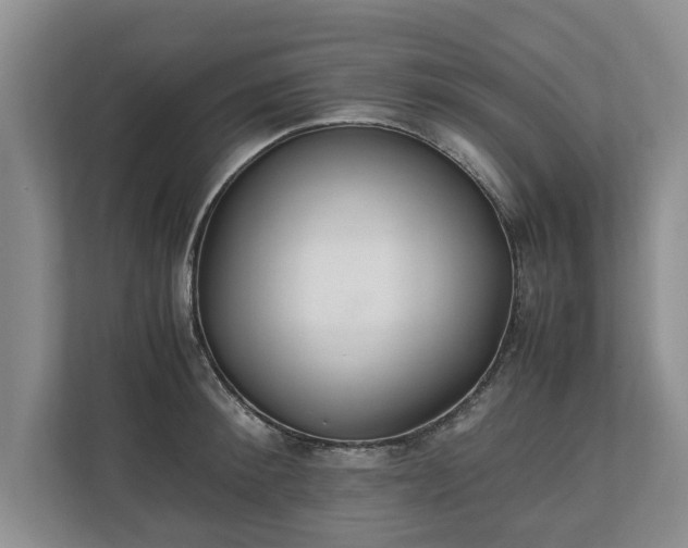 X0000110690900200906191505