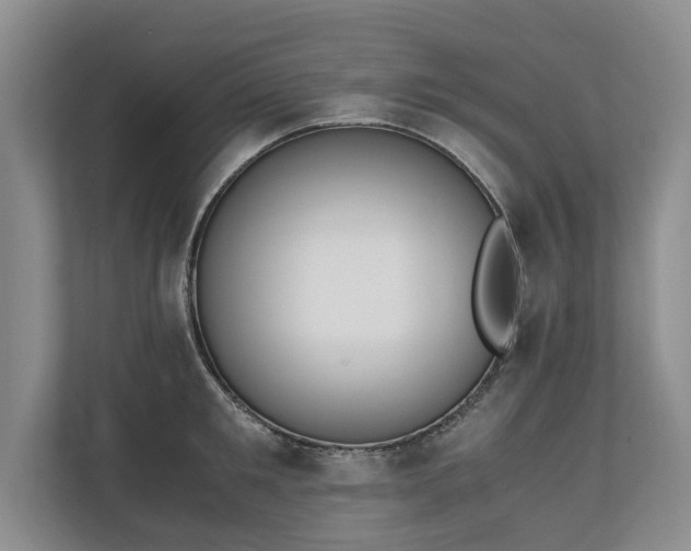 X0000110690901200906191505