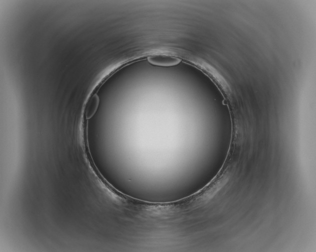 X0000110690902200906191505