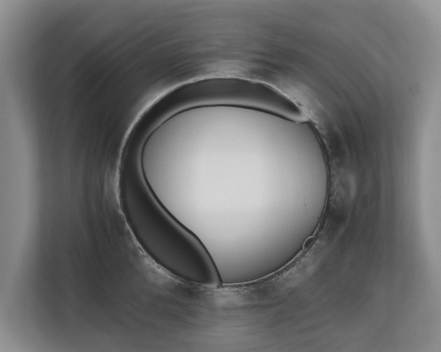 X0000110690904200906191505