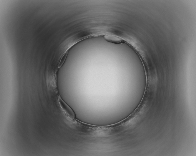 X0000110690905200906191505