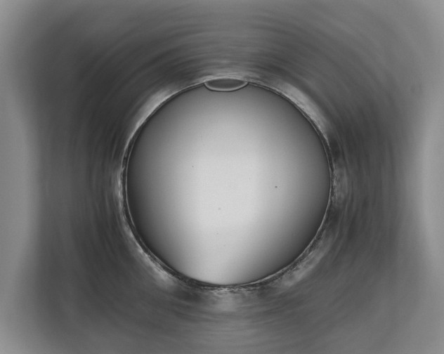 X0000110690906200906191505