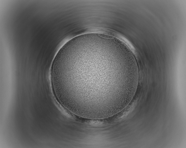 X0000110690907200906191505