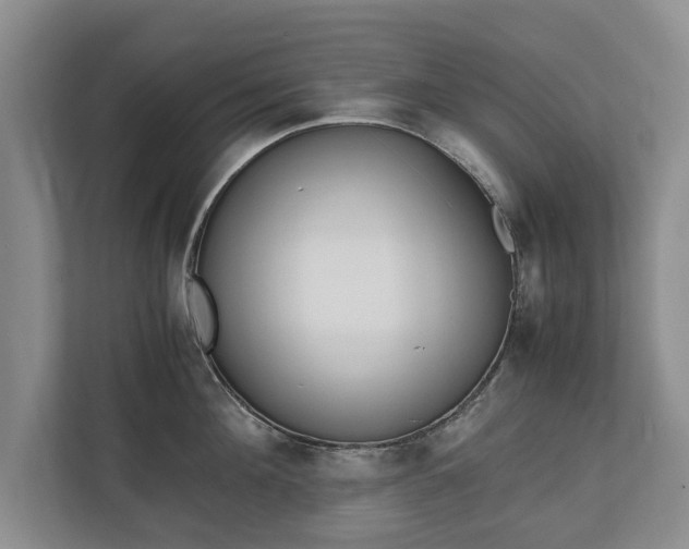 X0000110690908200906191505