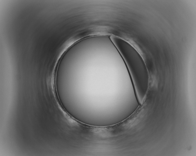 X0000110690909200906191505