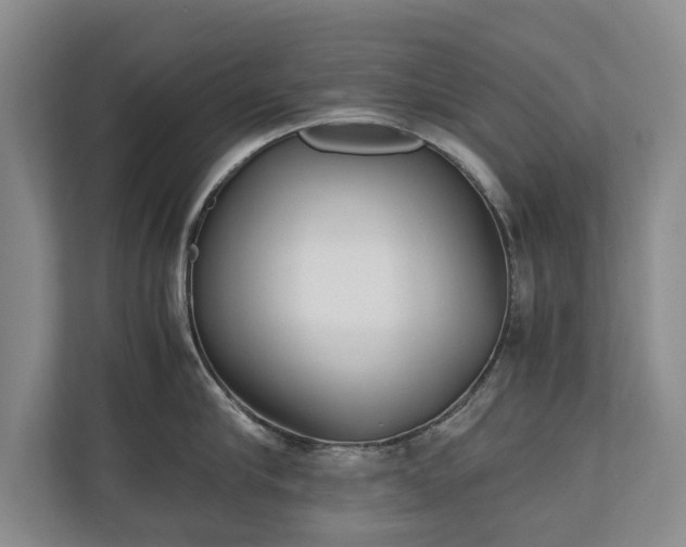 X0000110690910200906191505