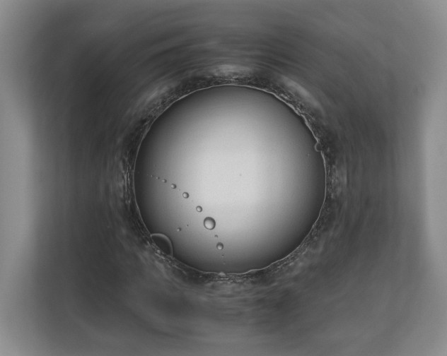 X0000110690917200906191504