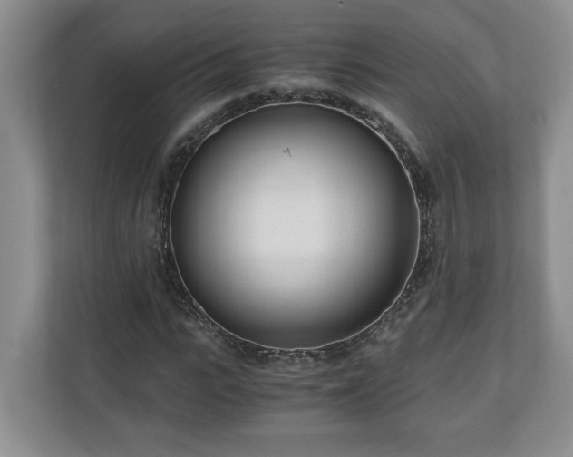 X0000110690919200906191504