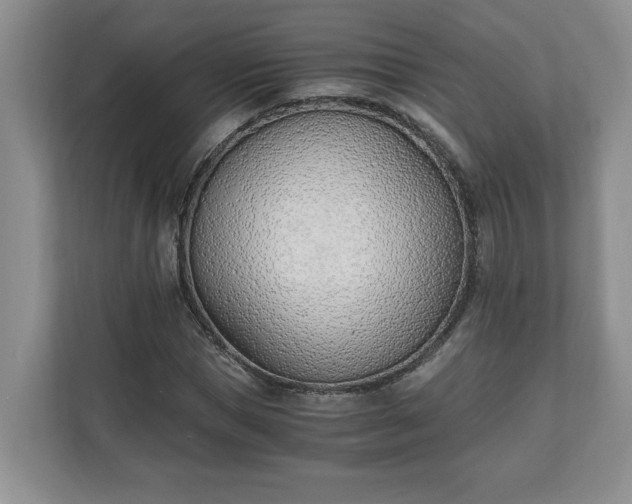 X0000110690921200906191504