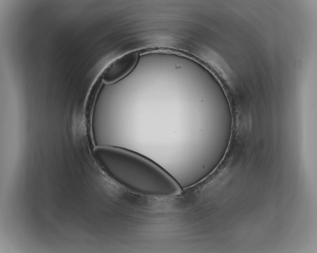 X0000110690924200906191504