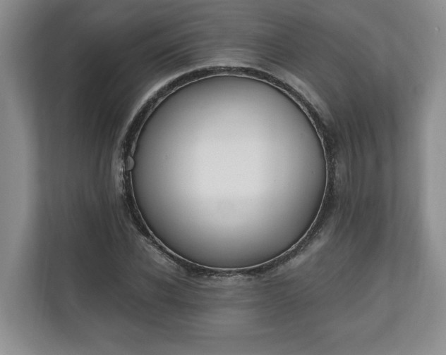 X0000110690926200906191504