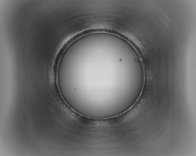 X0000110690927200906191504