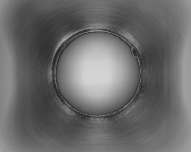 X0000110690928200906191504