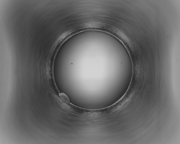 X0000110690930200906191504