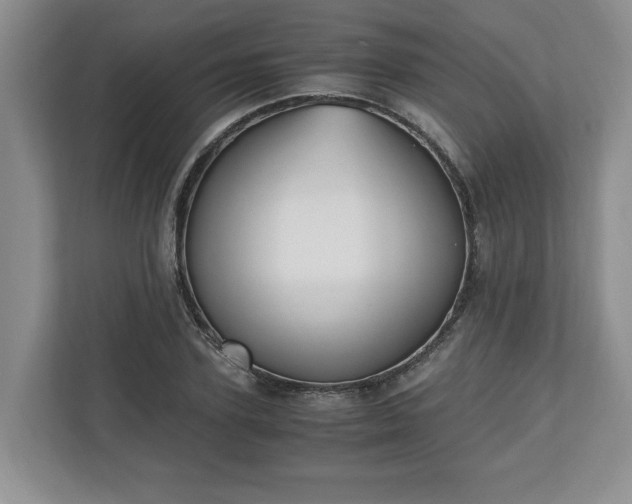 X0000110690931200906191504