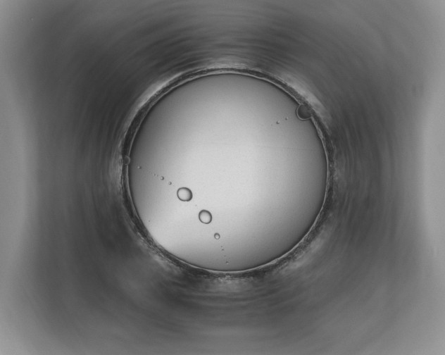 X0000110690933200906191504