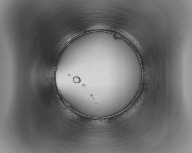 X0000110690937200906191504