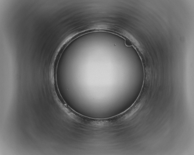 X0000110690939200906191504