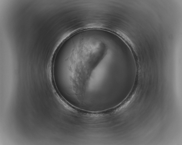 X0000110690941200906191504