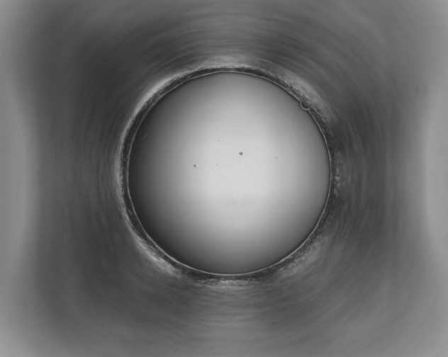 X0000110690942200906191504