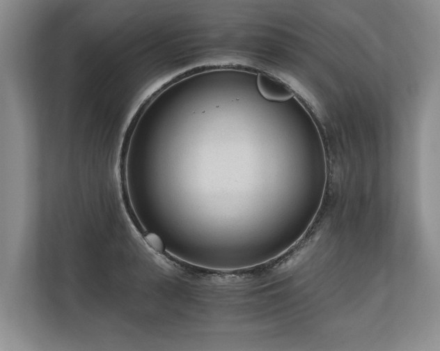 X0000110690943200906191504